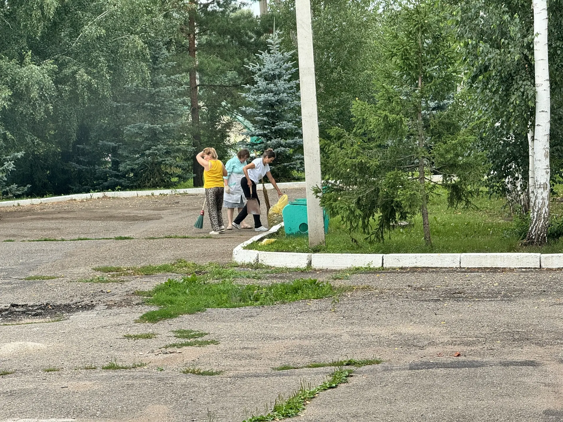 Сегодня 24 июля , в завершении рабочего дня, сотрудники объединились для проведения субботника на те