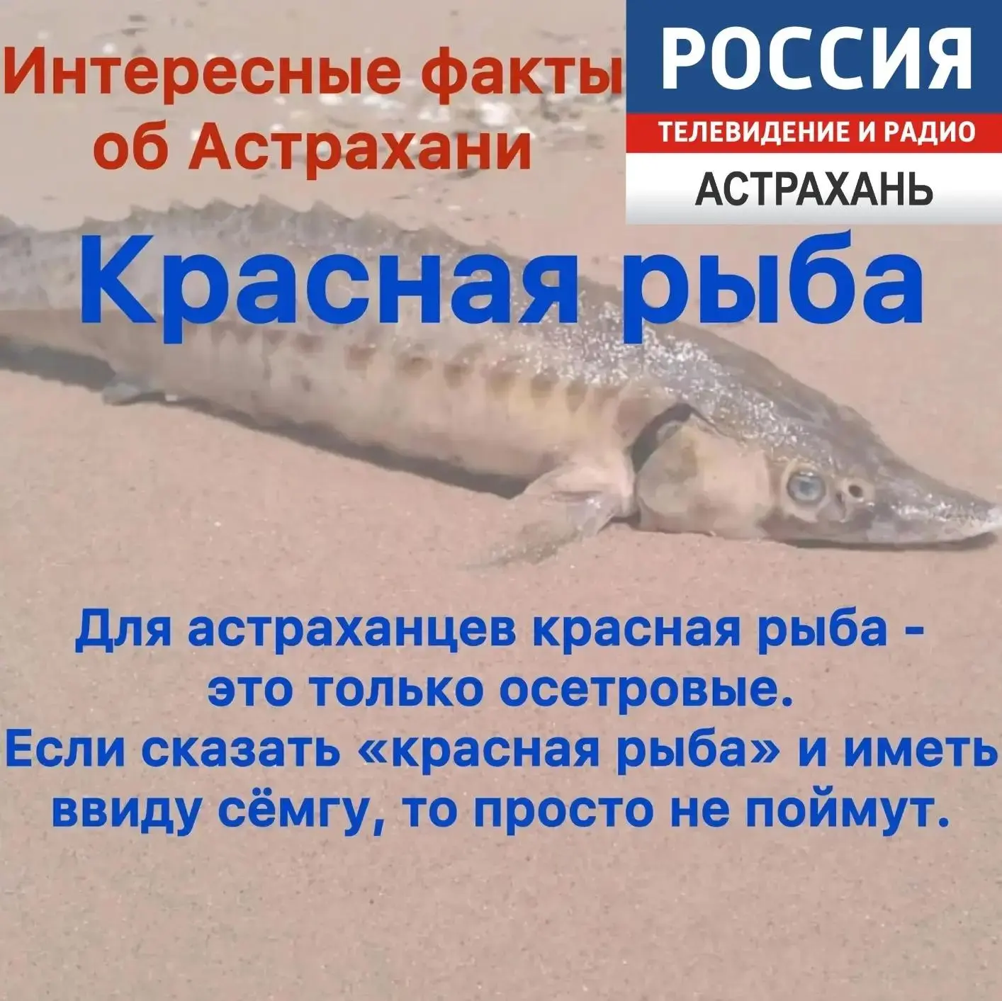 Интересные факты об Астрахани