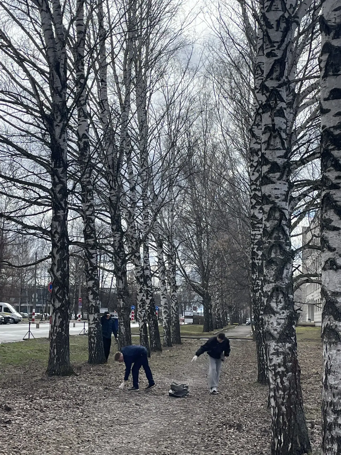 На днях в музее гражданской авиации прошёл парково-хозяйственный день.  Трудовой десант в лице курса