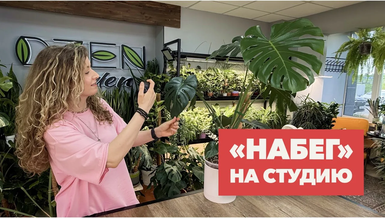 В новом видео расскажу чем занималась последний месяц и как выросли растения в студии за этот срок. 