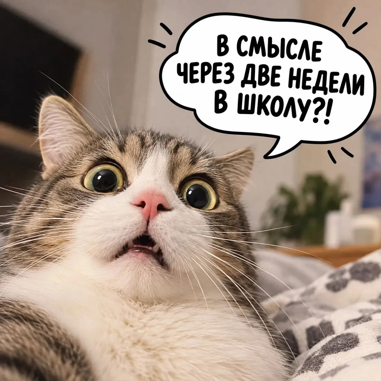 Мы ни на что не намекаем… 😄