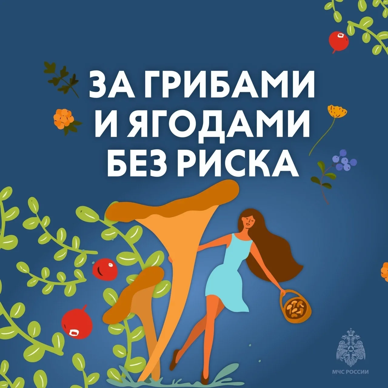 Безопасный сбор грибов 🍄