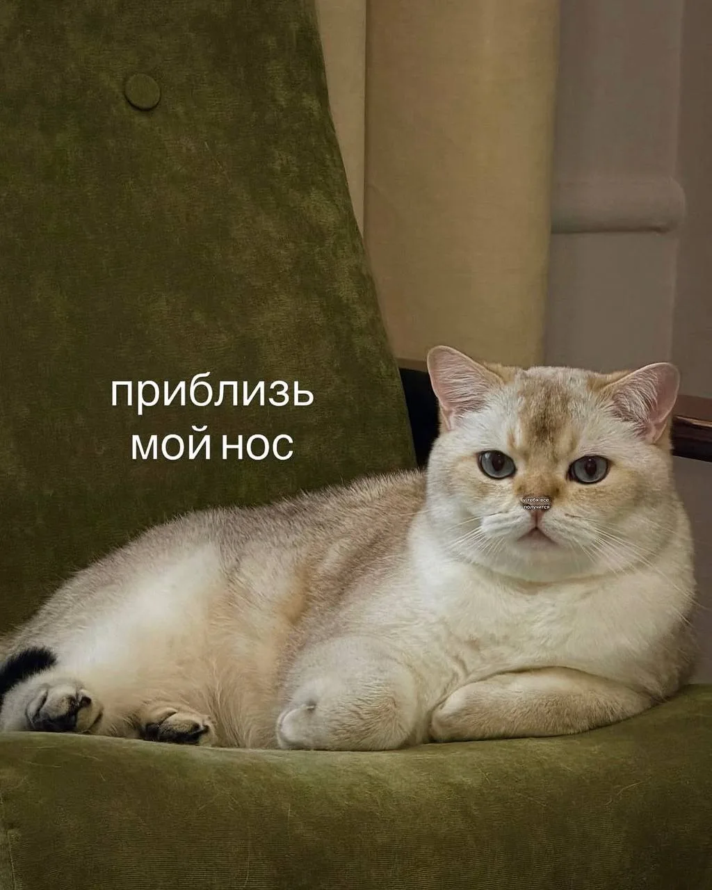 Утречка! Посмотрите на картинку

#юмор | Подписаться на Госзаказ | Чат специалистов по 44-ФЗ и 223-Ф