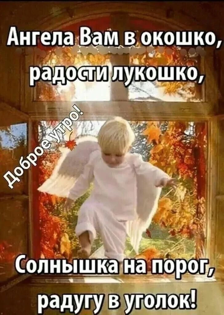 Доброе утро и хорошего дня! ☀️
Прекрасного настроения!

Я - Пенсионер✅