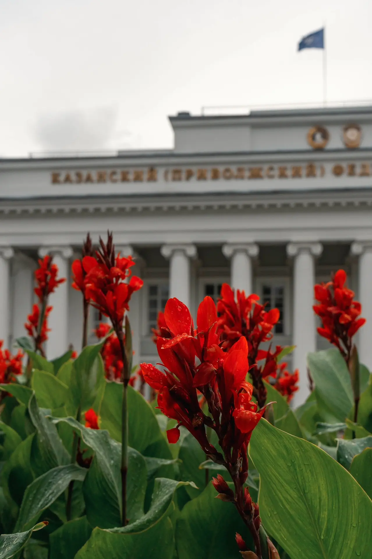 🌻 Репетиция осени в Казанском федеральном