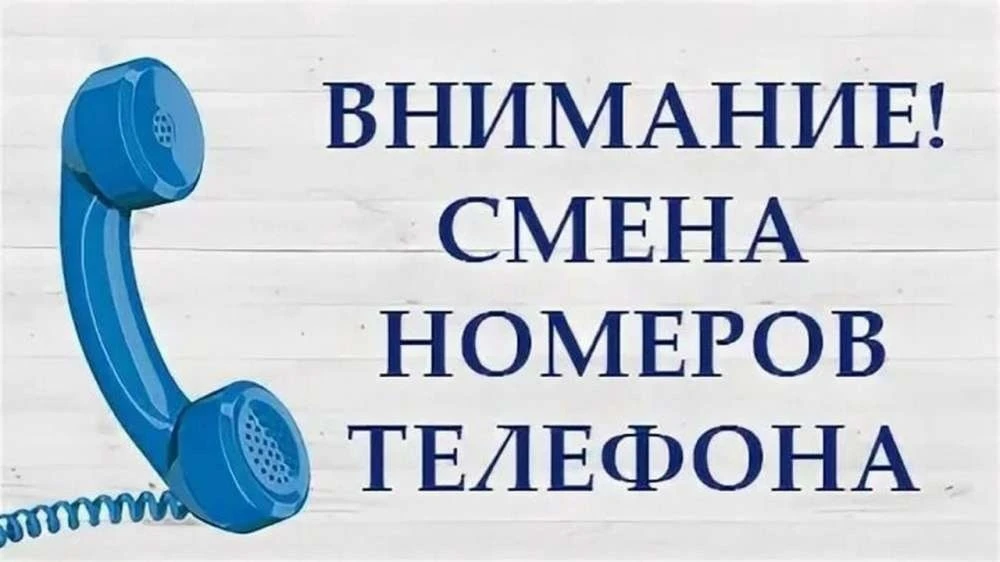 Заведующий: 762-14-51
Бухгалтерия: 762-14-52
Медицинский кабинет: 762-14-53