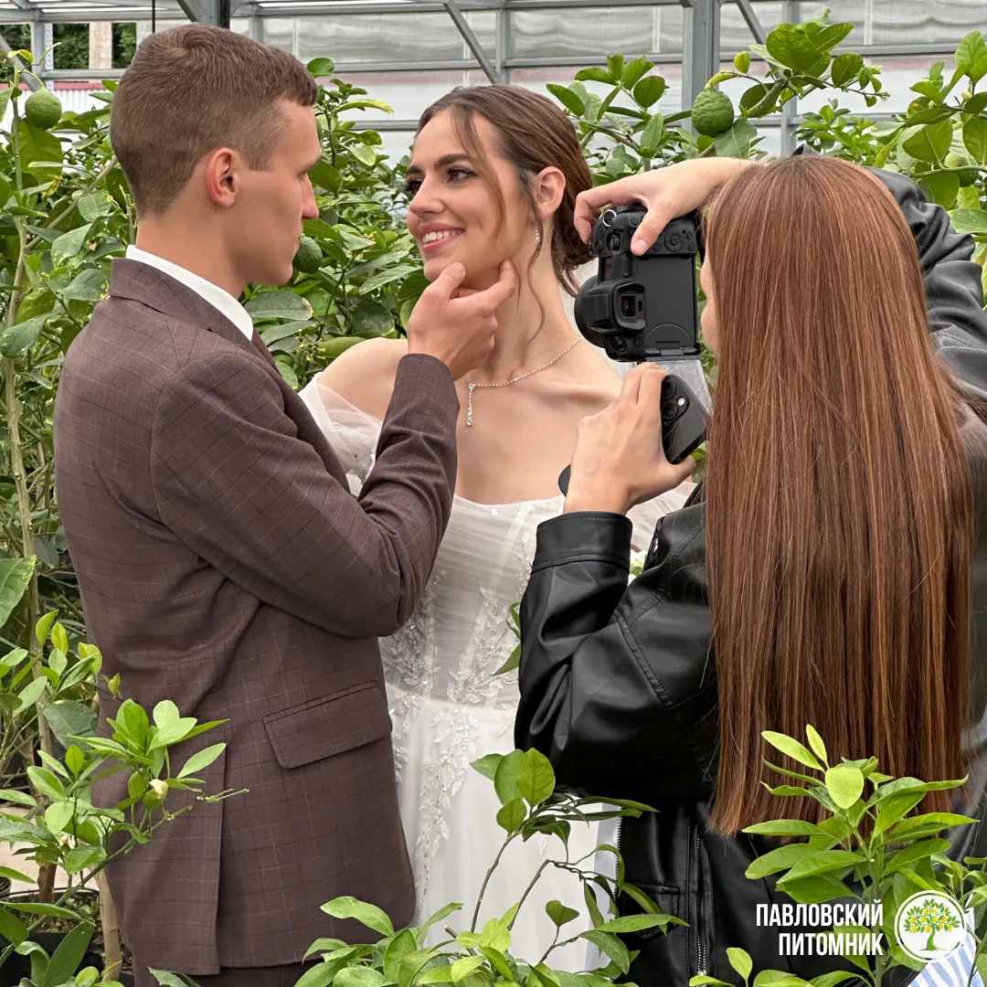 💍🍋 В Павловском питомнике появилась новая услуга — свадебная фотосессия среди цитрусов