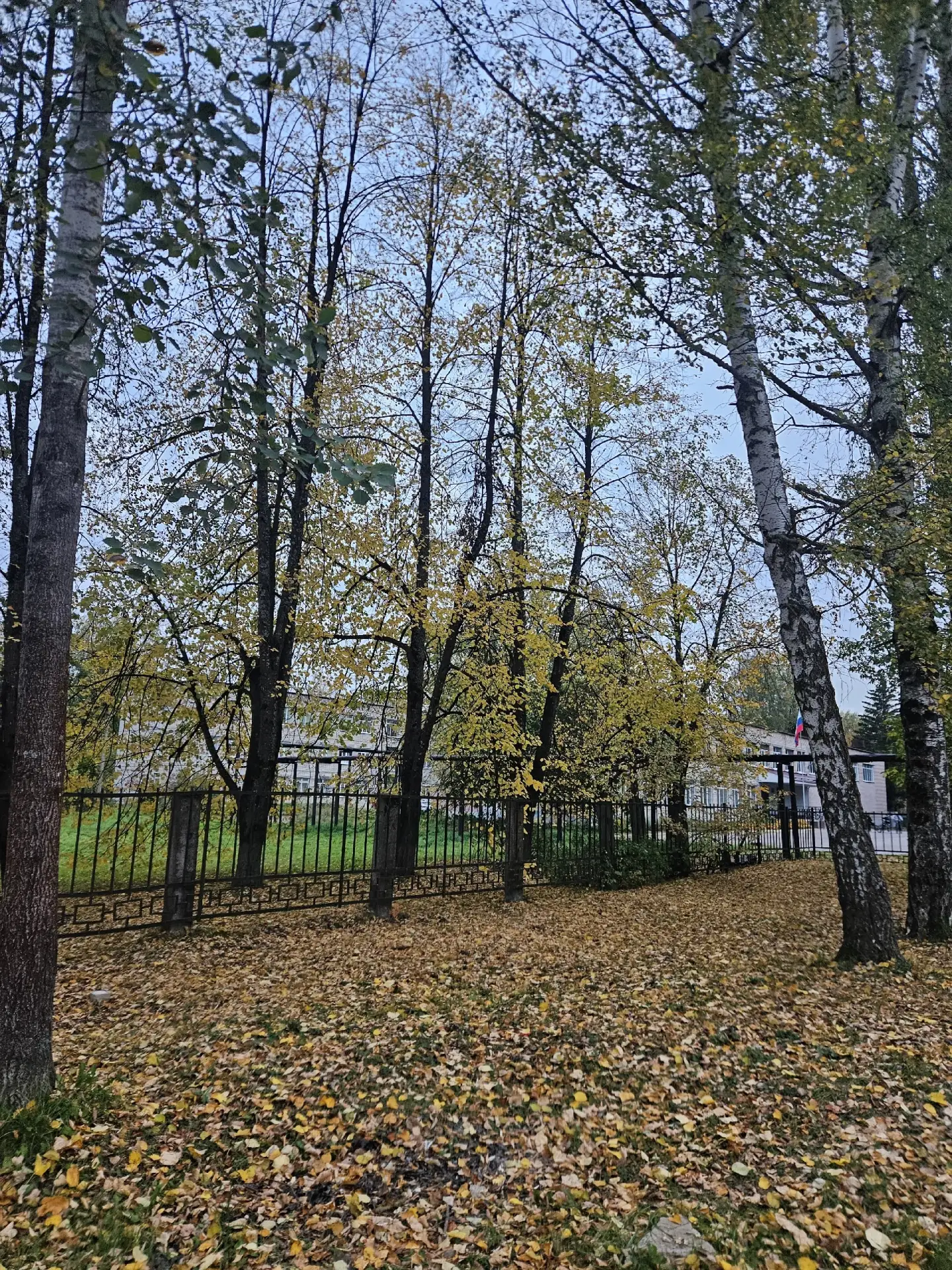 Подсмотрено за осенью