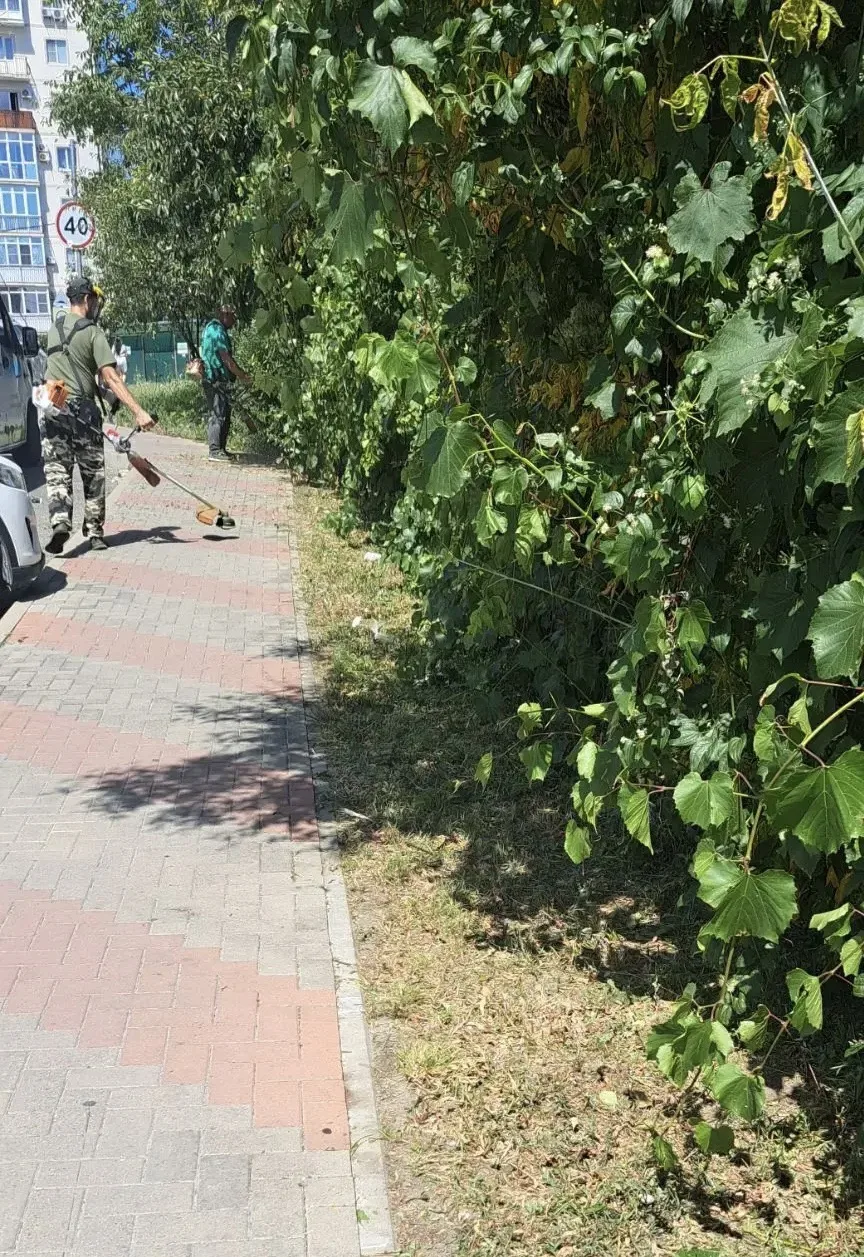 Заботимся о зелёных зонах Геленджика ежедневно 🌿