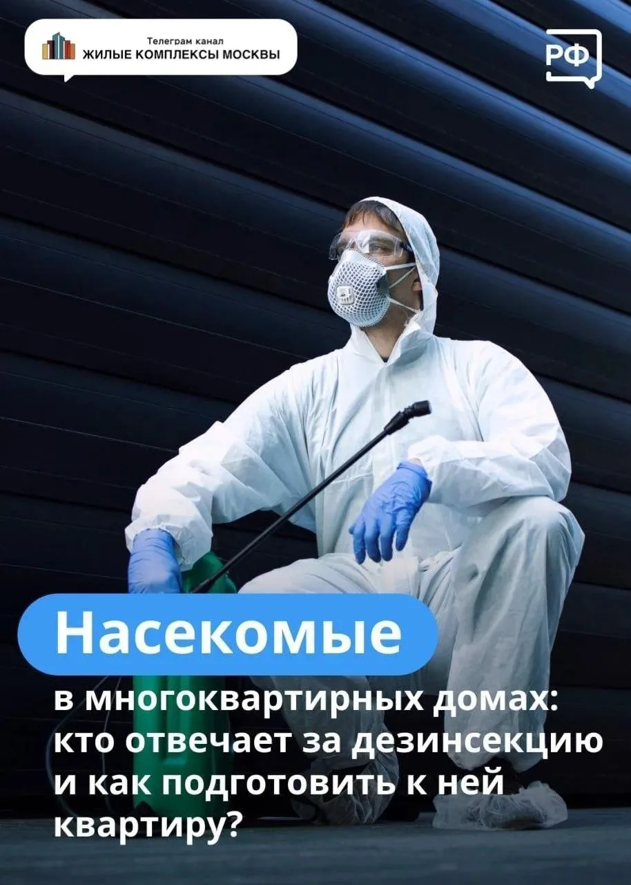 ☯️Про тараканов  ‼️Заметили таракана на лестничной клетке или в квартире?  ⚪️Насекомые в доме — сюрп