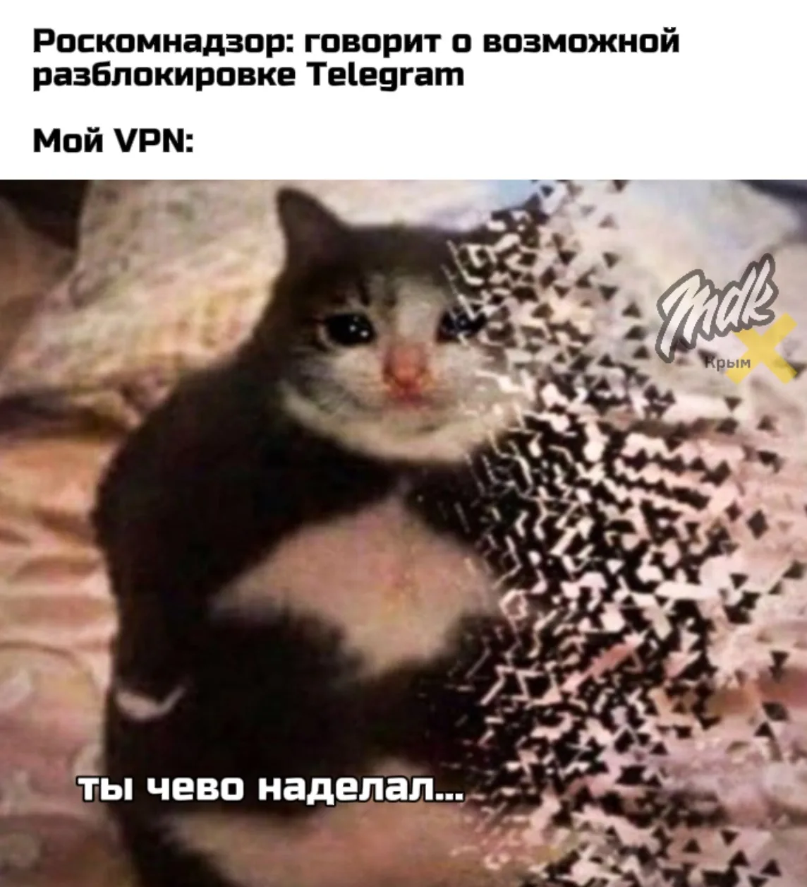 В Госдуме намекнули Telegram: у Roblox получилось, может получиться и у вас 😉

Зампред комитета Гос