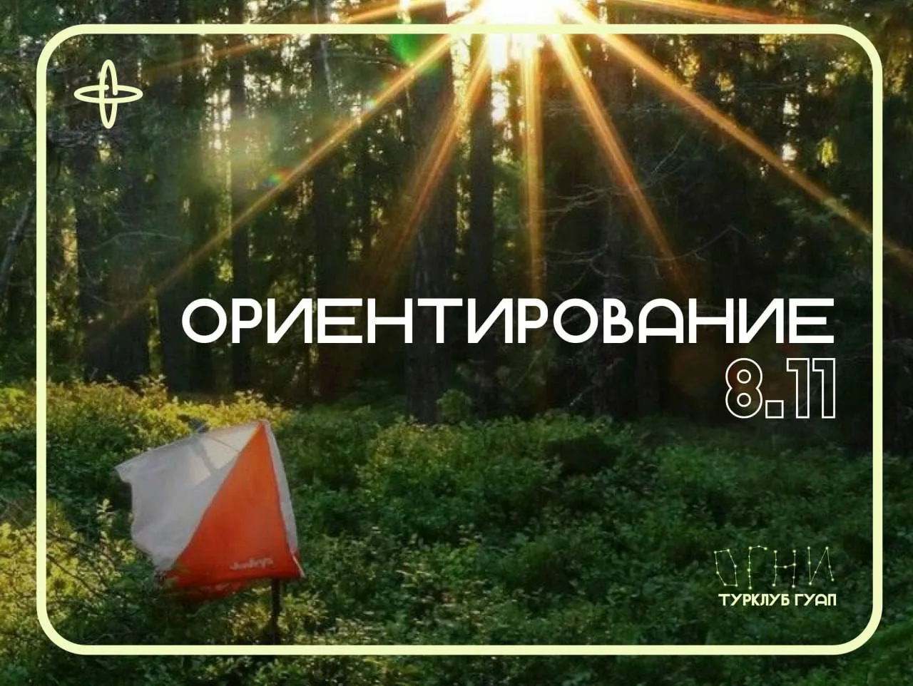🧭 Что может быть лучше, чем лес и ориентирование?