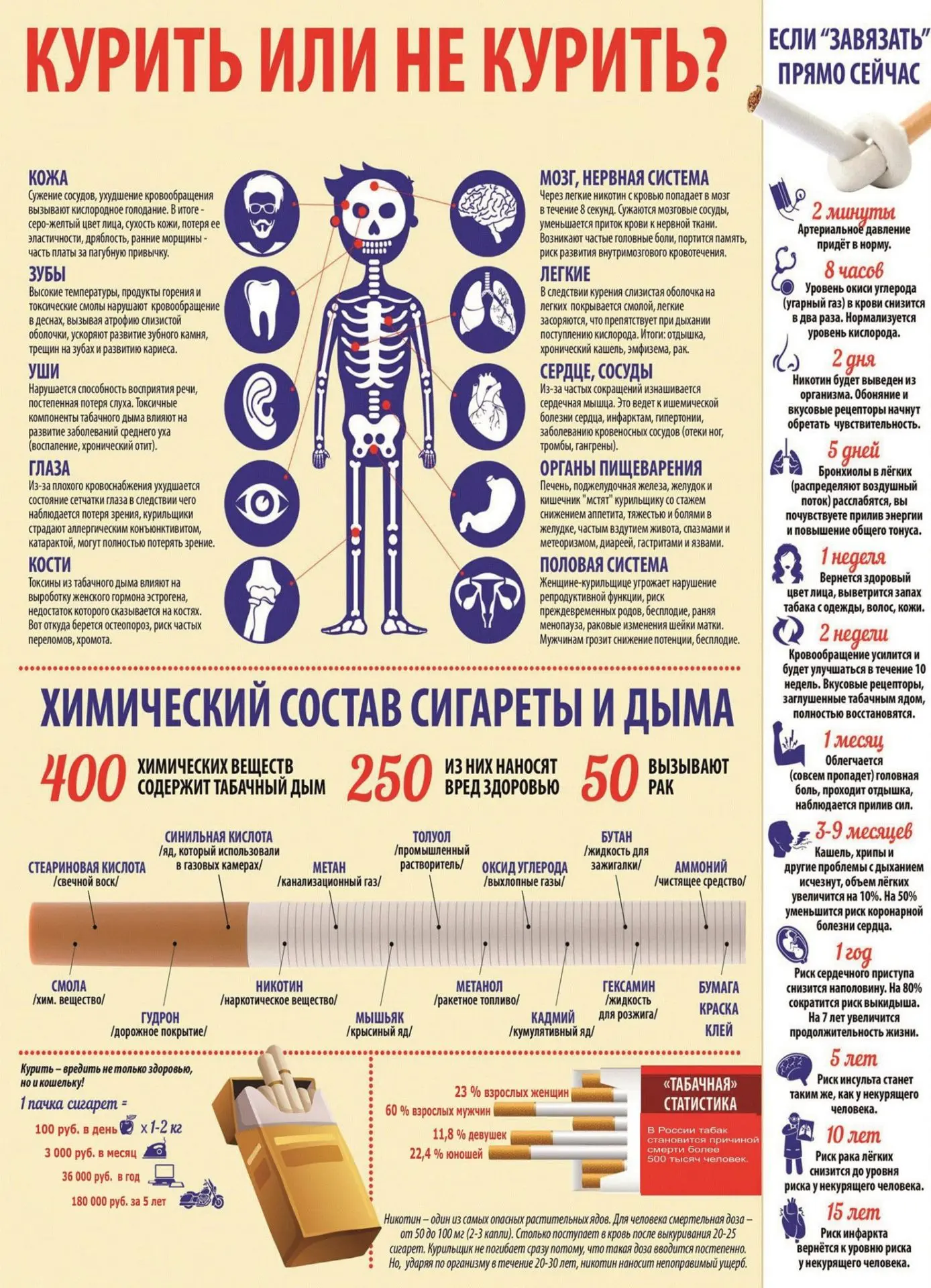 🚫 Курение: правда без прикрас 🚫

Думаешь, курение — это стильно и «по‑взрослому»? Разберём, почему