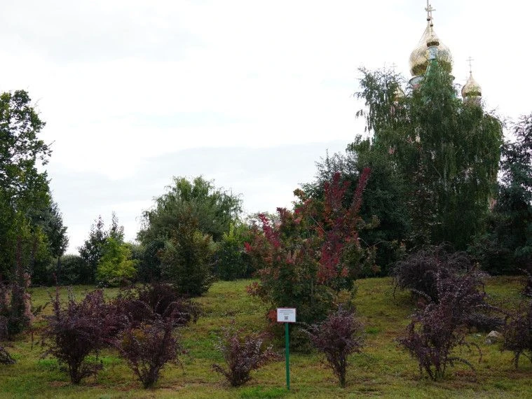 Курчатов - это не просто улицы, дома и парки. Это люди, которые не проходят мимо, не жд...