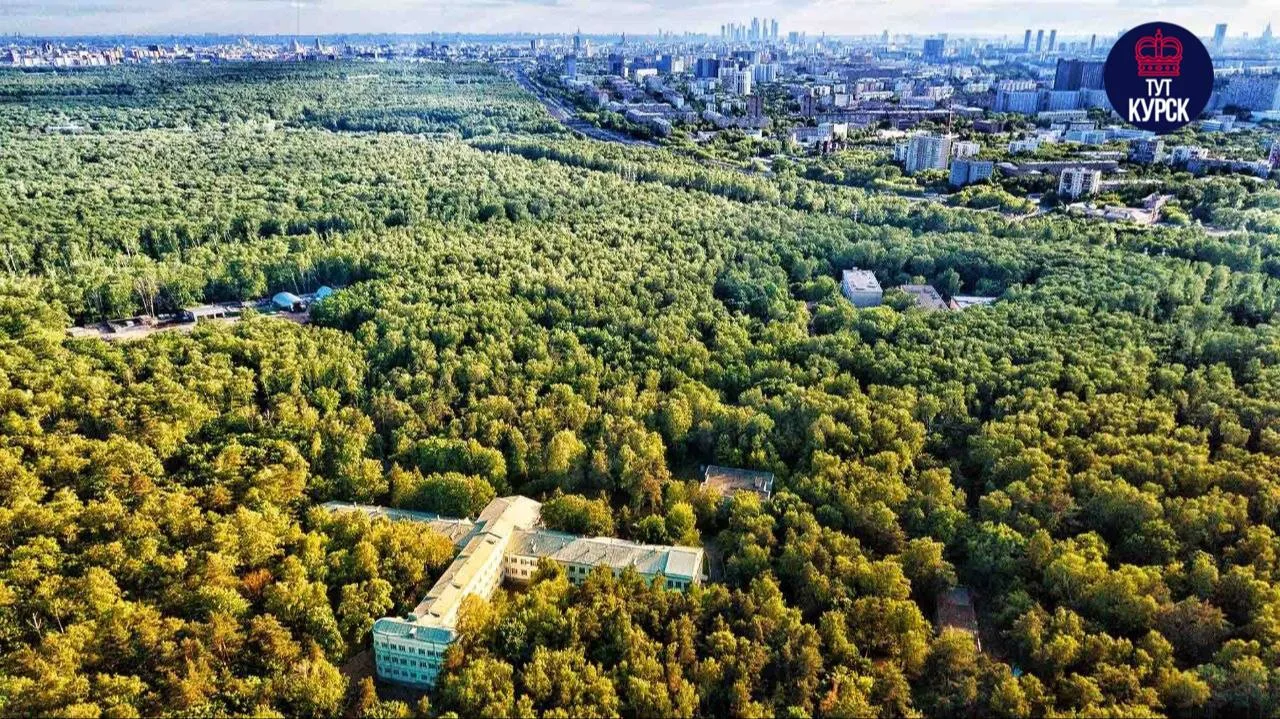 💸 Курянин заплатит 18,8 млн рублей за незаконную вырубку деревьев в национальном парке «Лосиный ост