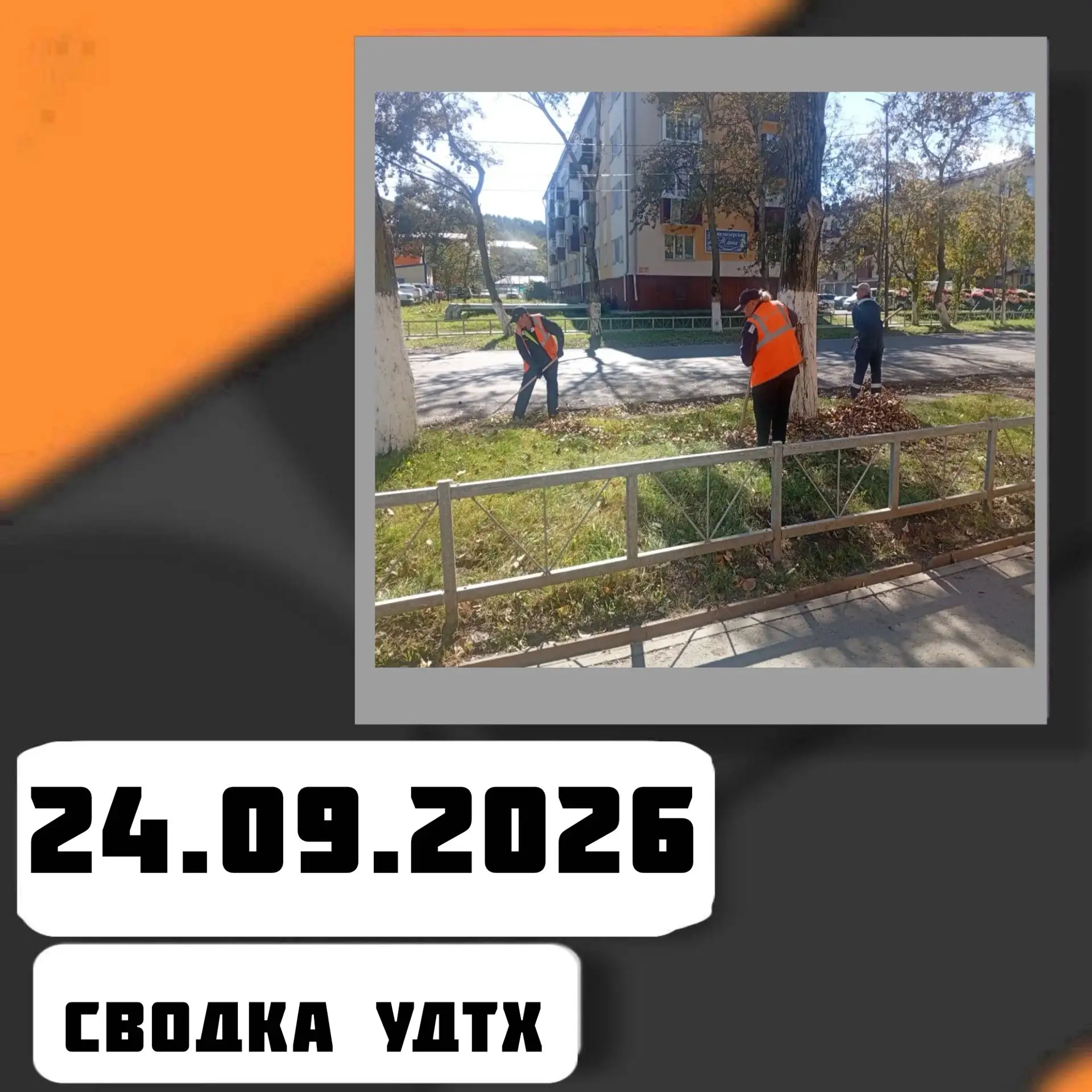 ➡️Сводка УДТХ на 24.09.2026
