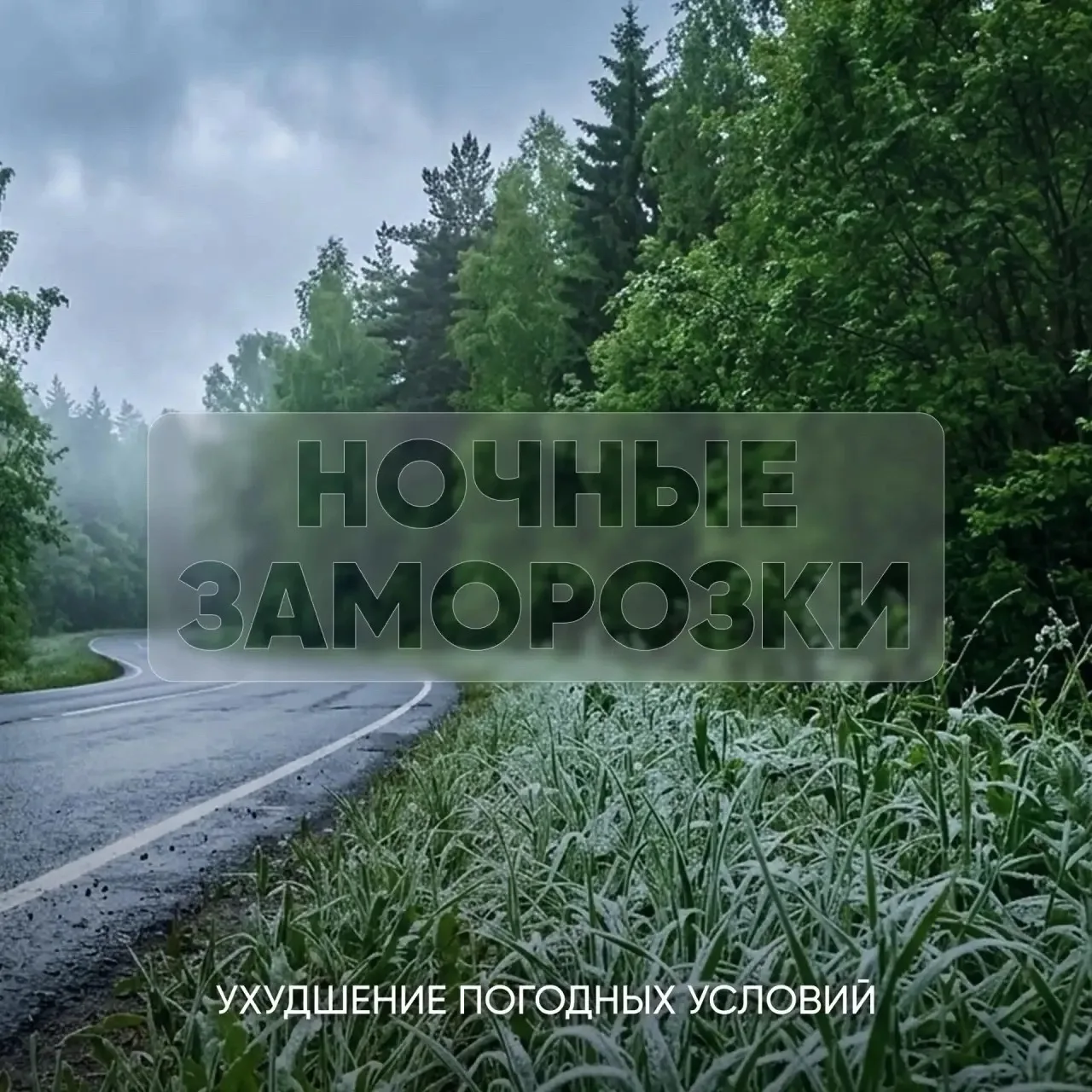 Синоптики прогнозируют существенное понижение температуры. В ночные и утренние часы с 2...