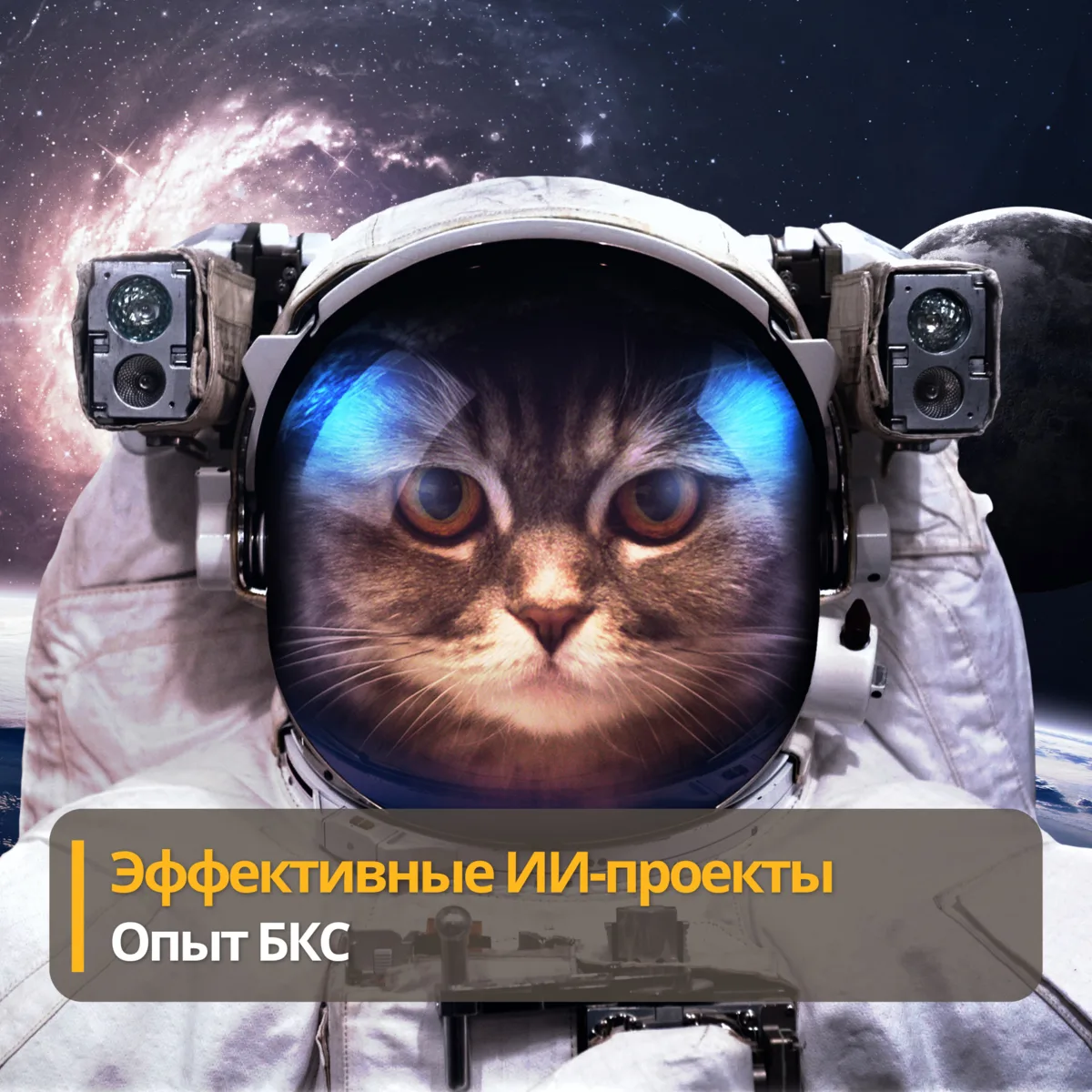 Как увеличить эффективность внедрения ИИ. Опыт БКС