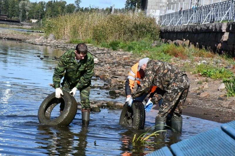 🌿 На берегу Ладоги стало чище