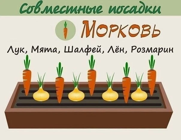 Полезные подсказки!