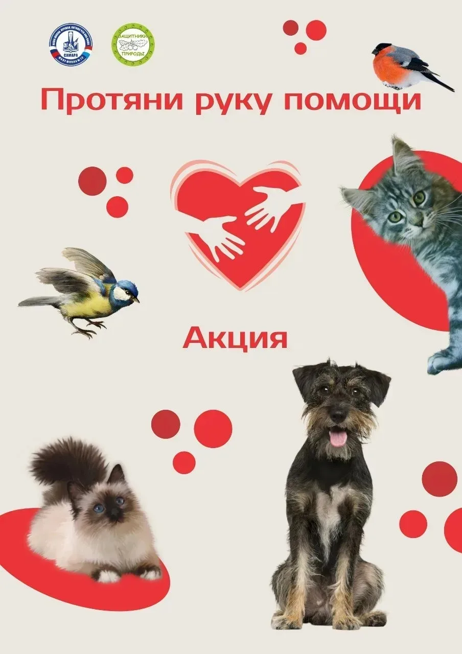 🌿 Протяни руку помощи: поддержим тех, кто не может попросить сам! 🌿