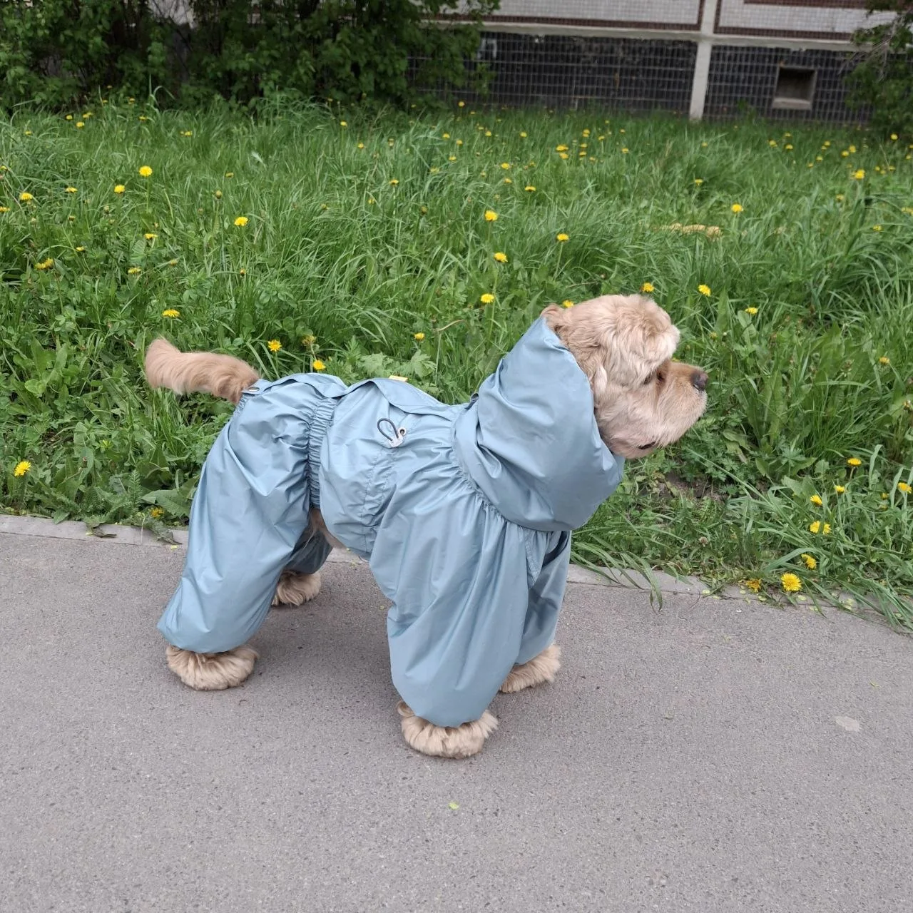 Всем доброе утро,  друзья! 🤗 Пока вы ещё думаете, нужен ли вам лёгкий комбинезон из пл...