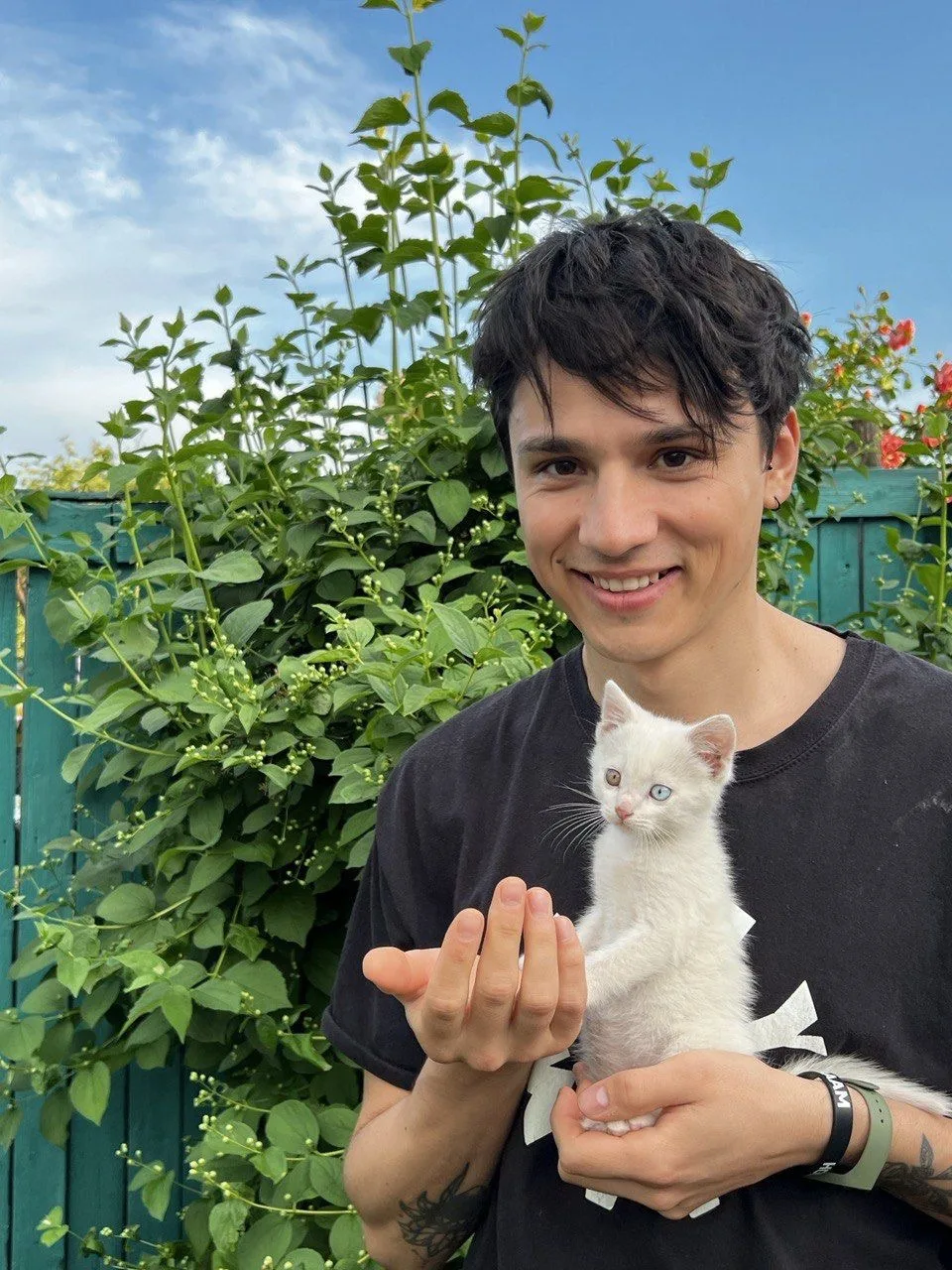 🐱
