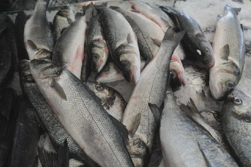 🐟 На Кубани обнаружили партию форели без маркировки