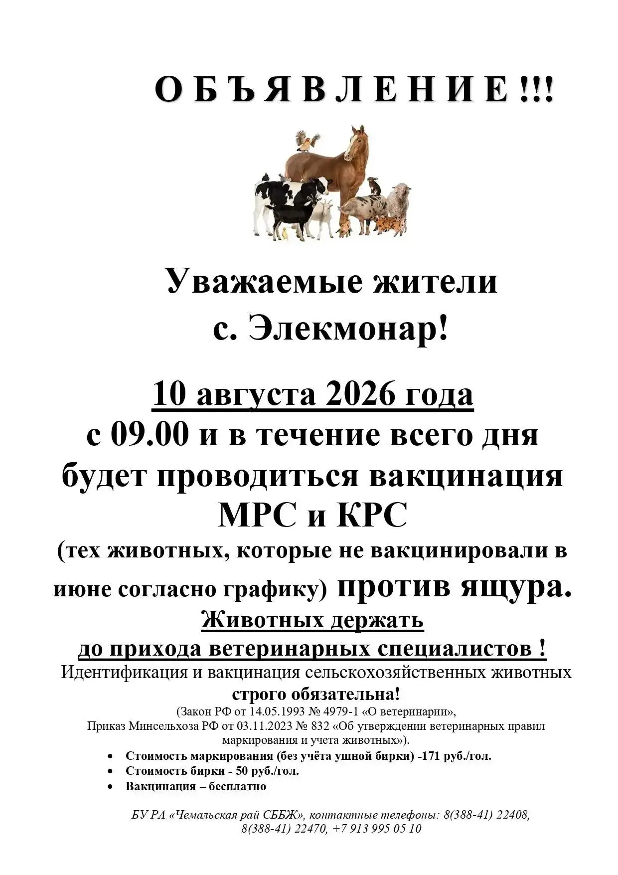 Медиа публикации