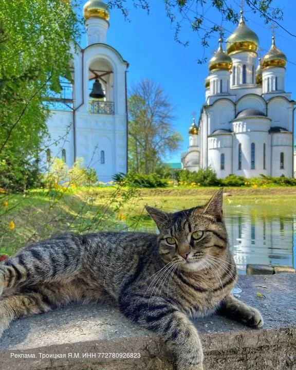 Оказывается, 8 из 10 россиян не знают, куда поехать на выходные или в отпуск