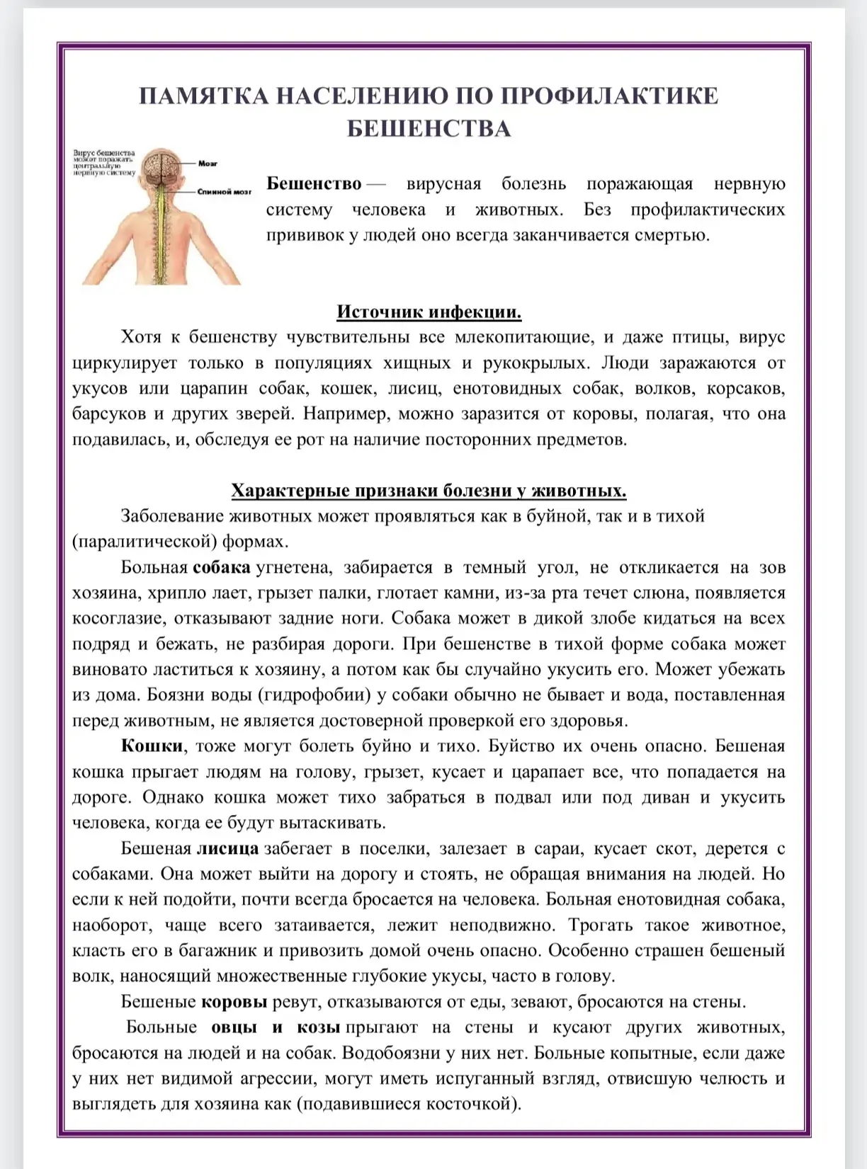 Фото