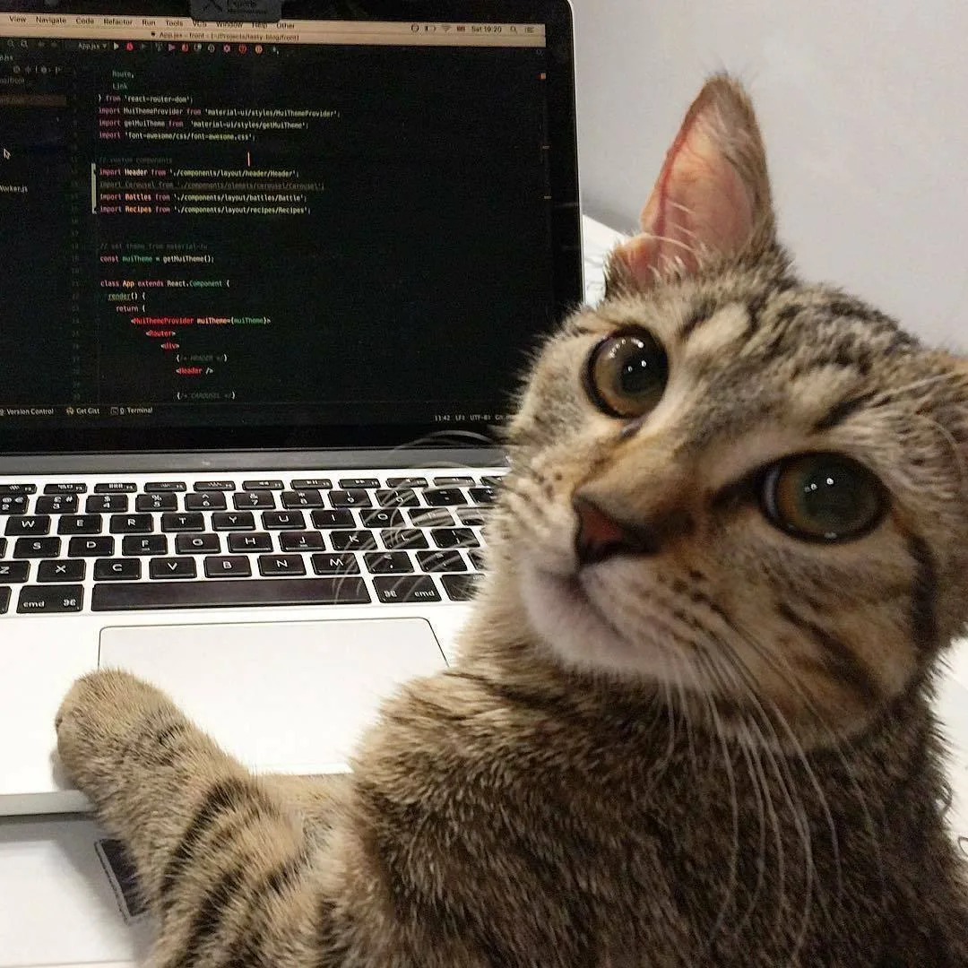 🧑‍💻День программиста отмечается сегодня