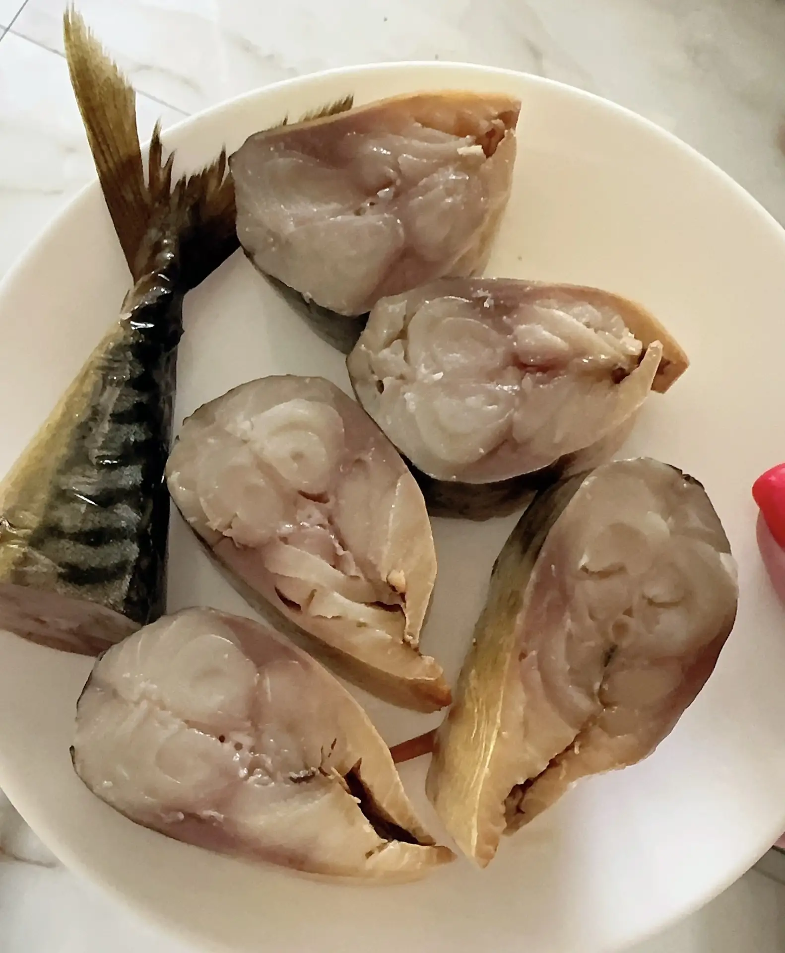 🍽️ Наборчик на день: что я получила из яиц, сала, фарша, скумбрии и тушёнки