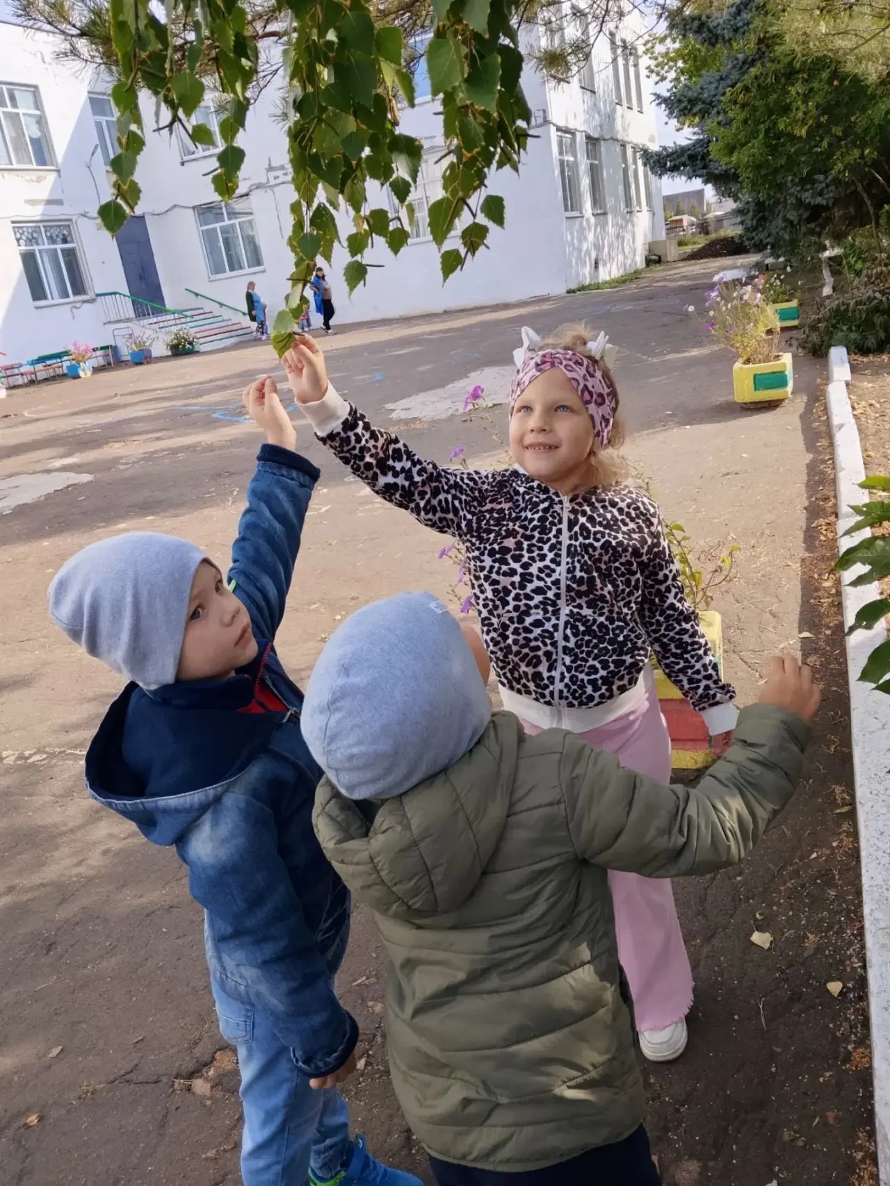 Ходит осень в нашем парке, Дарит осень всем подарки: Фартук розовый — осинке,