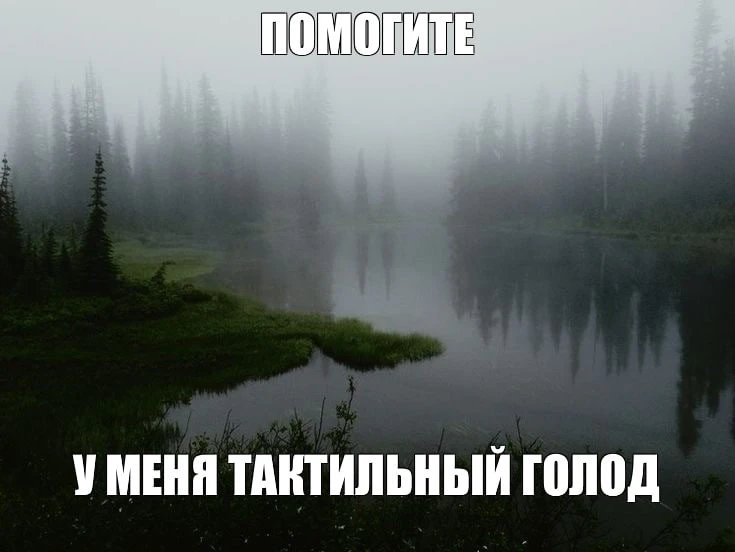 Ребят, я начала за собой замечать, что я испытываю тактильный голод ТОЛЬКО когда смотрю...