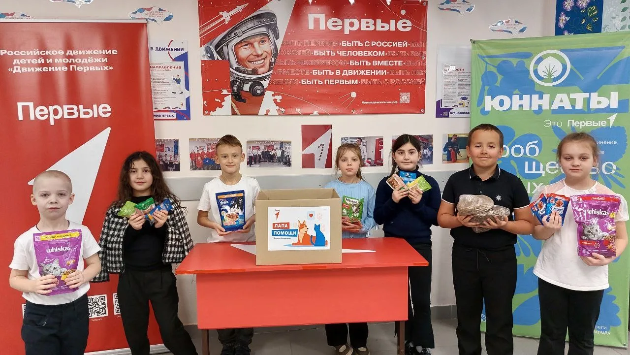 🐾ЧЕТЫРЕ ЛАПЫ🐾