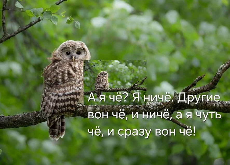 Доброго дня!