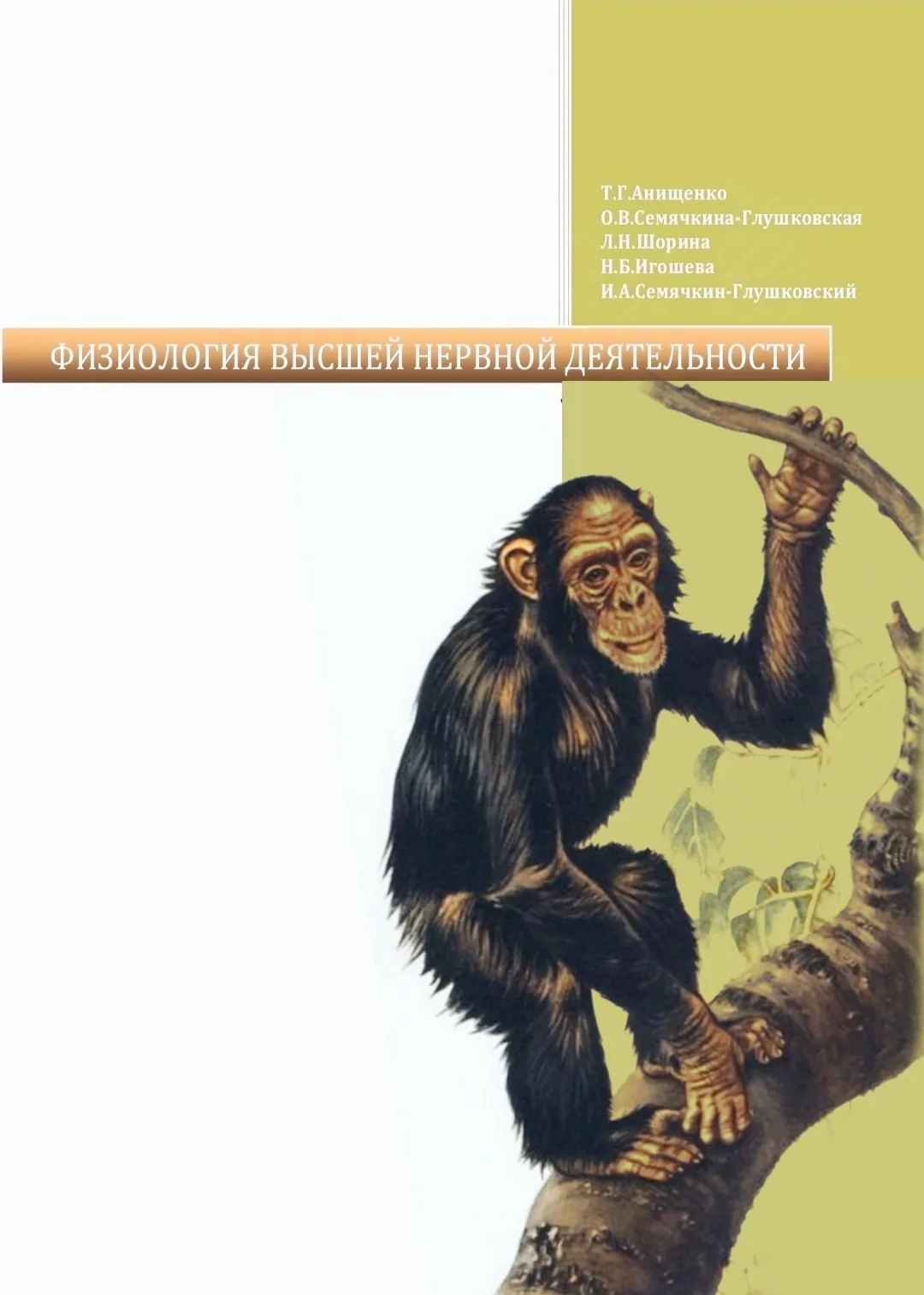 #физиология_ЦНС_PSY

📚 Физиология высшей нервной деятельности •  Т.Г. Анищенко, О.В. Семячкина-Глуш