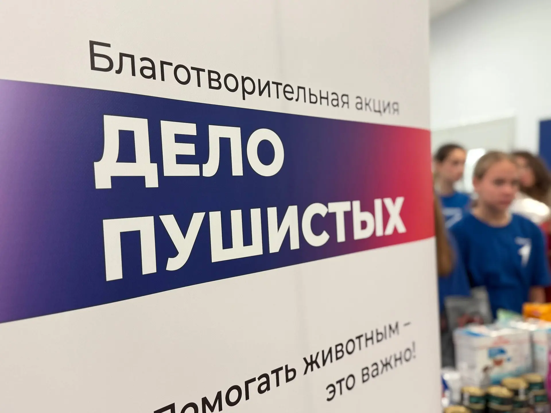 🐾 Акция «Дело пушистых» объединила всю школу!