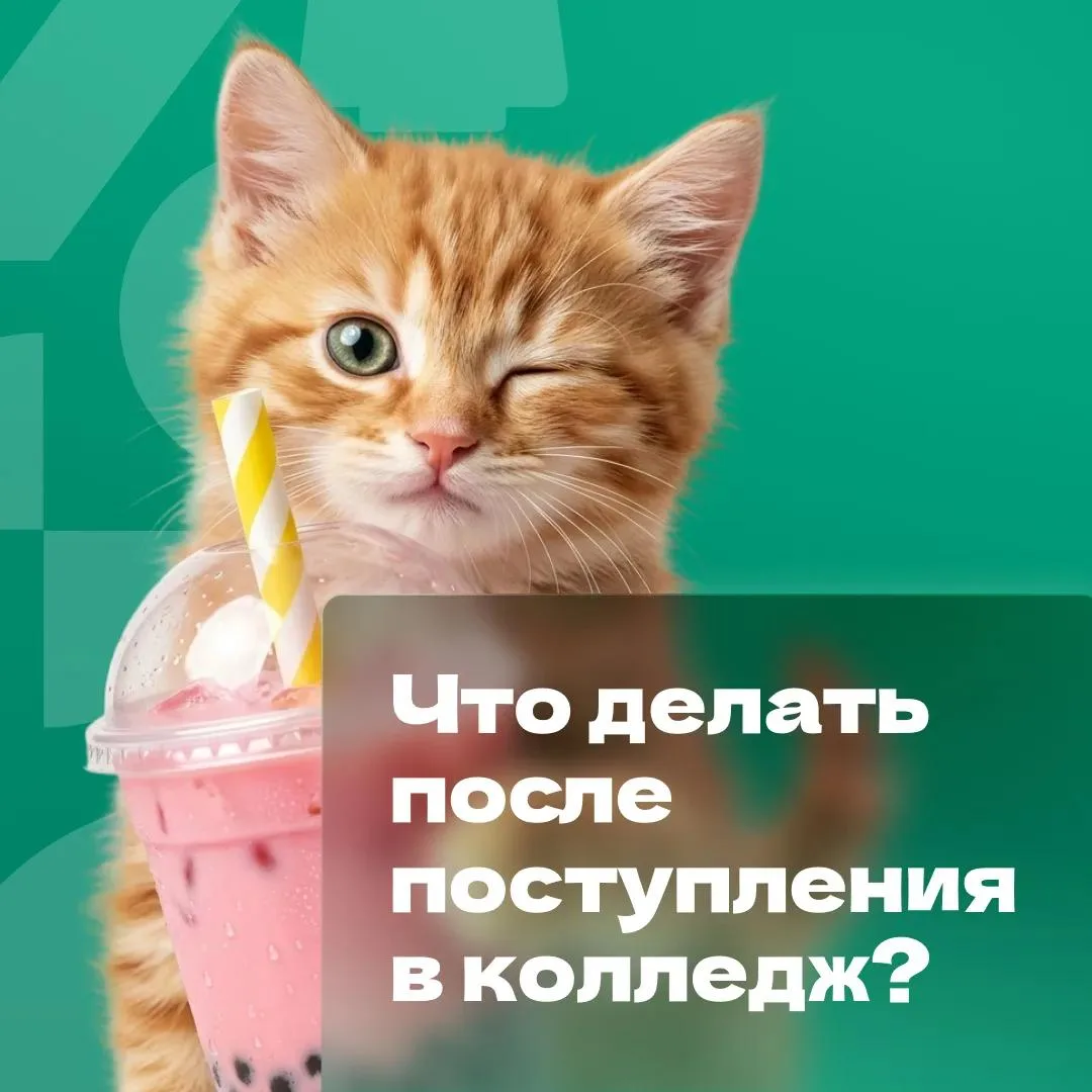 🙌 Хоп – и ты уже студент! Что дальше?
