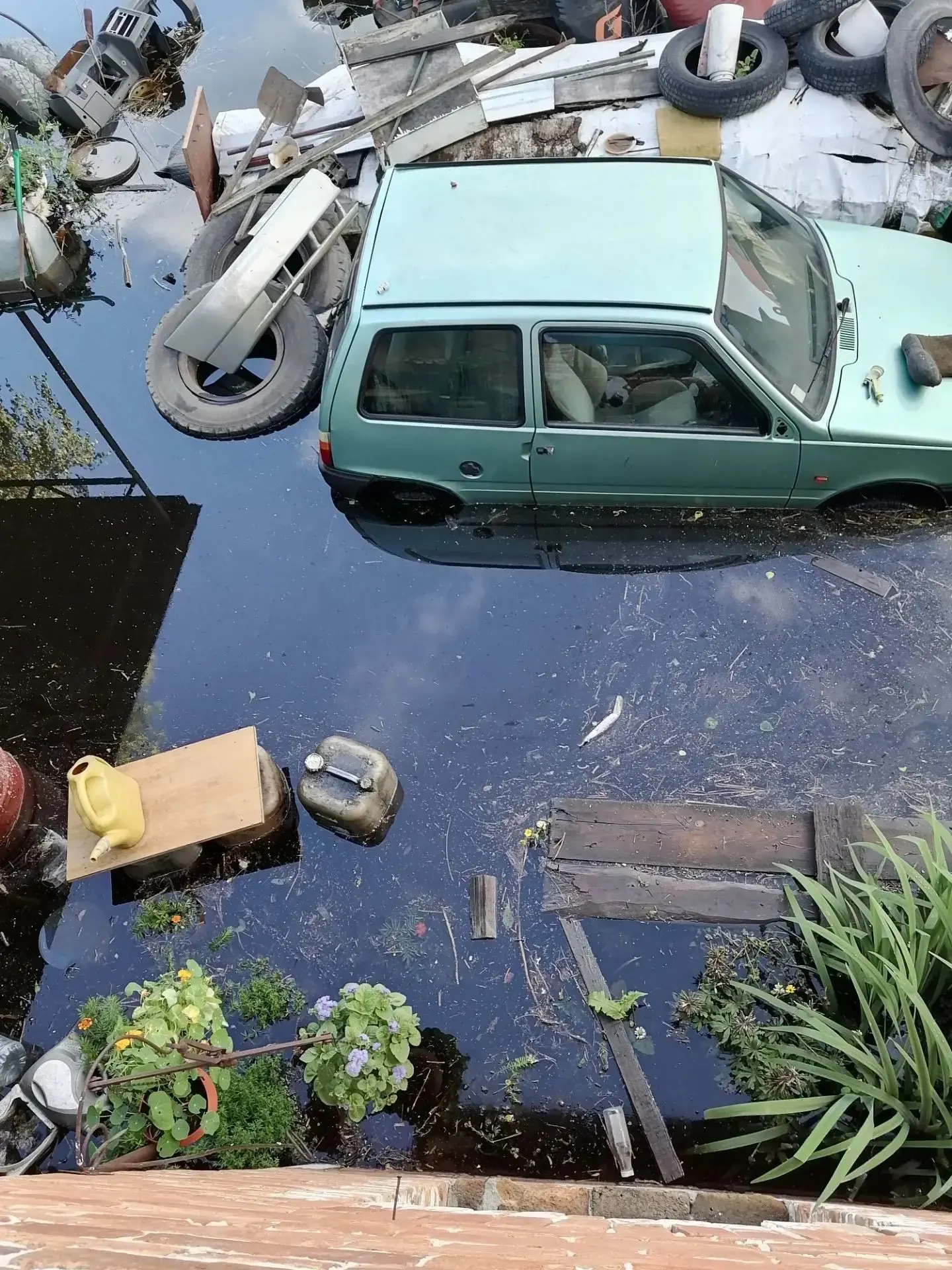Вот так вот пришедшая вода убила всё живое, что садили люди, и попортила имущество у людей на Кирова