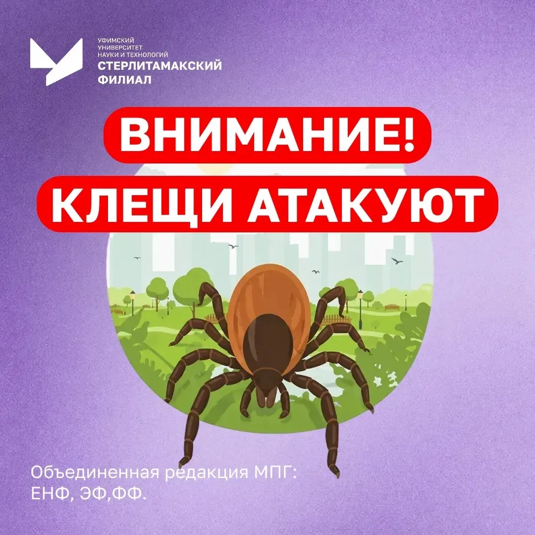 ✨ Защита от клещей: взгляд трёх факультетов ✨