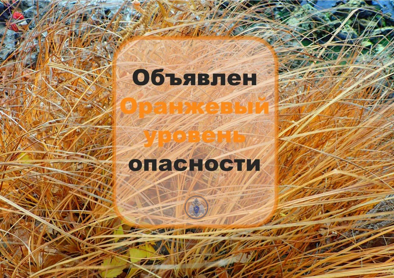 Высокая пожарная опасность лесов❗️  ⚡️ По информации Приволжского УГМС в период с 18 по 20 мая места