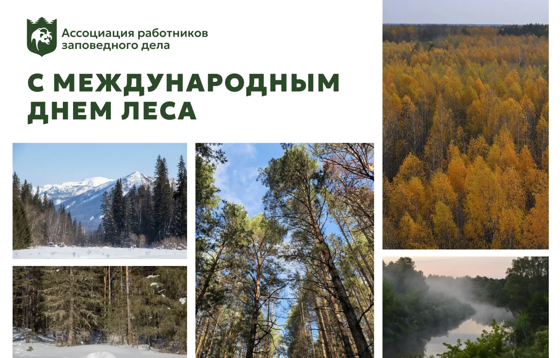 21 марта отмечается Международный день леса!