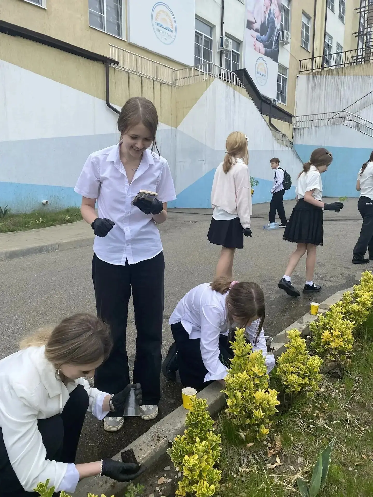 🌱Совсем недавно учащиеся засеяли емкости семенами ярких бархатцев. Когда маленькие ростки стали дост