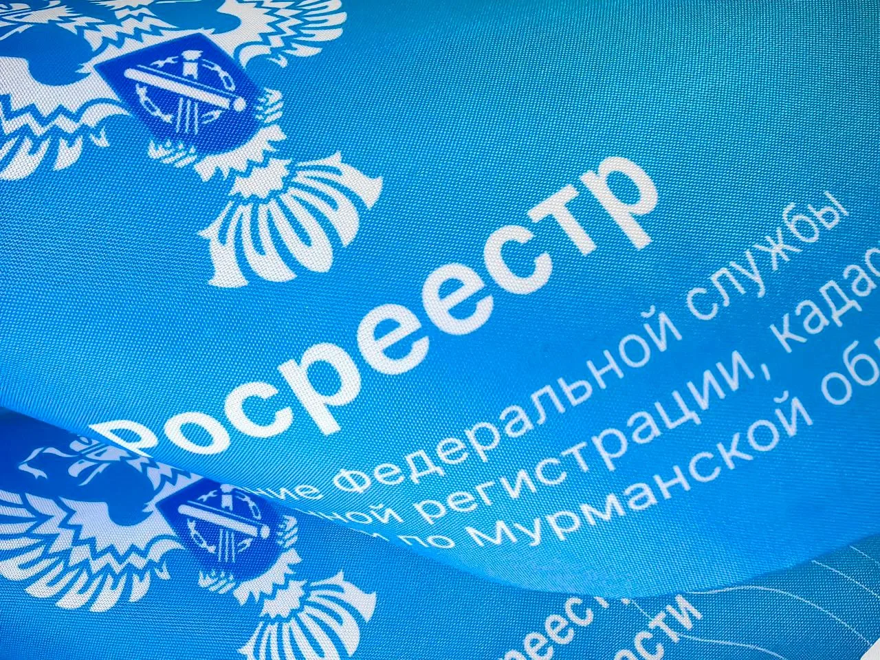 ✏  Дан старт общественным обсуждениям проекта отчета о результатах государственной када...