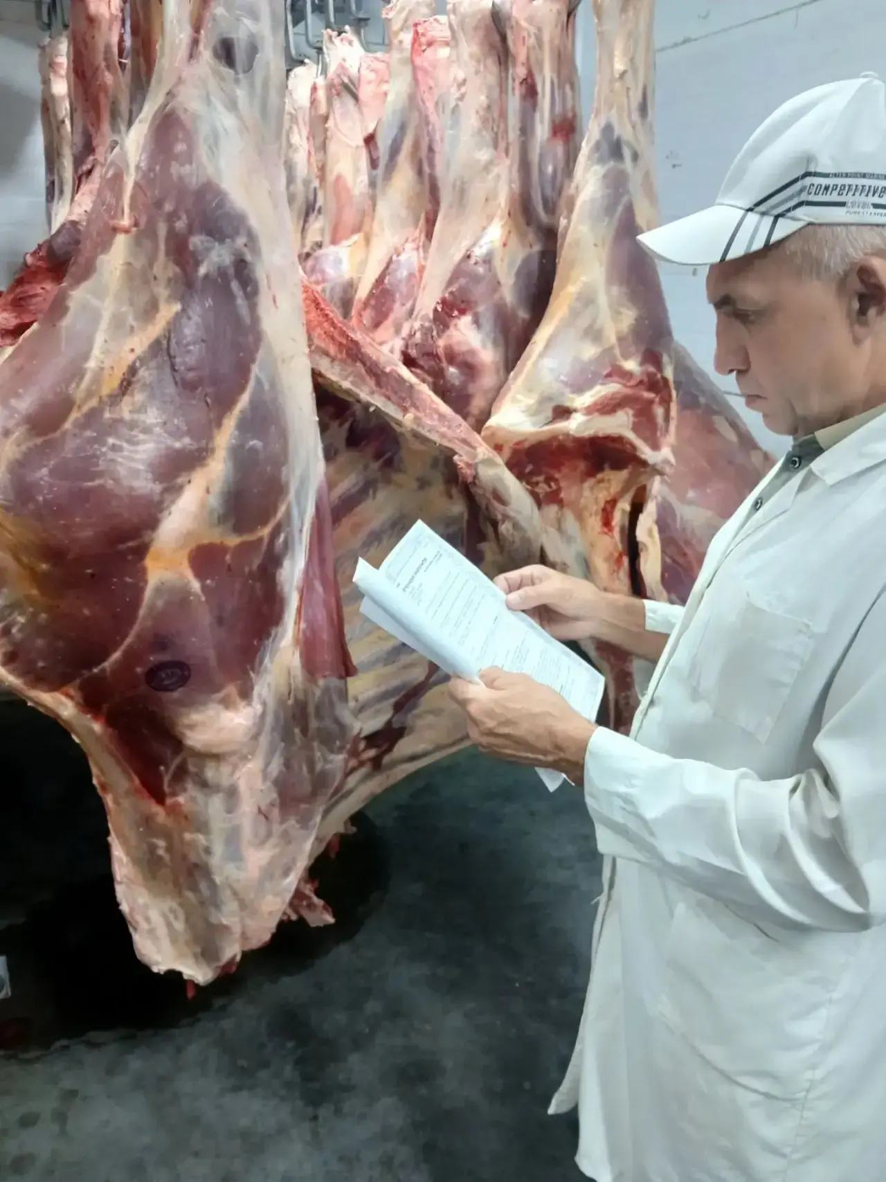 🥩Приёмка мяса говядины в четвертинках в ООО ПКФ"Татнэт, вет.врач Абузяров Ф.Ф.