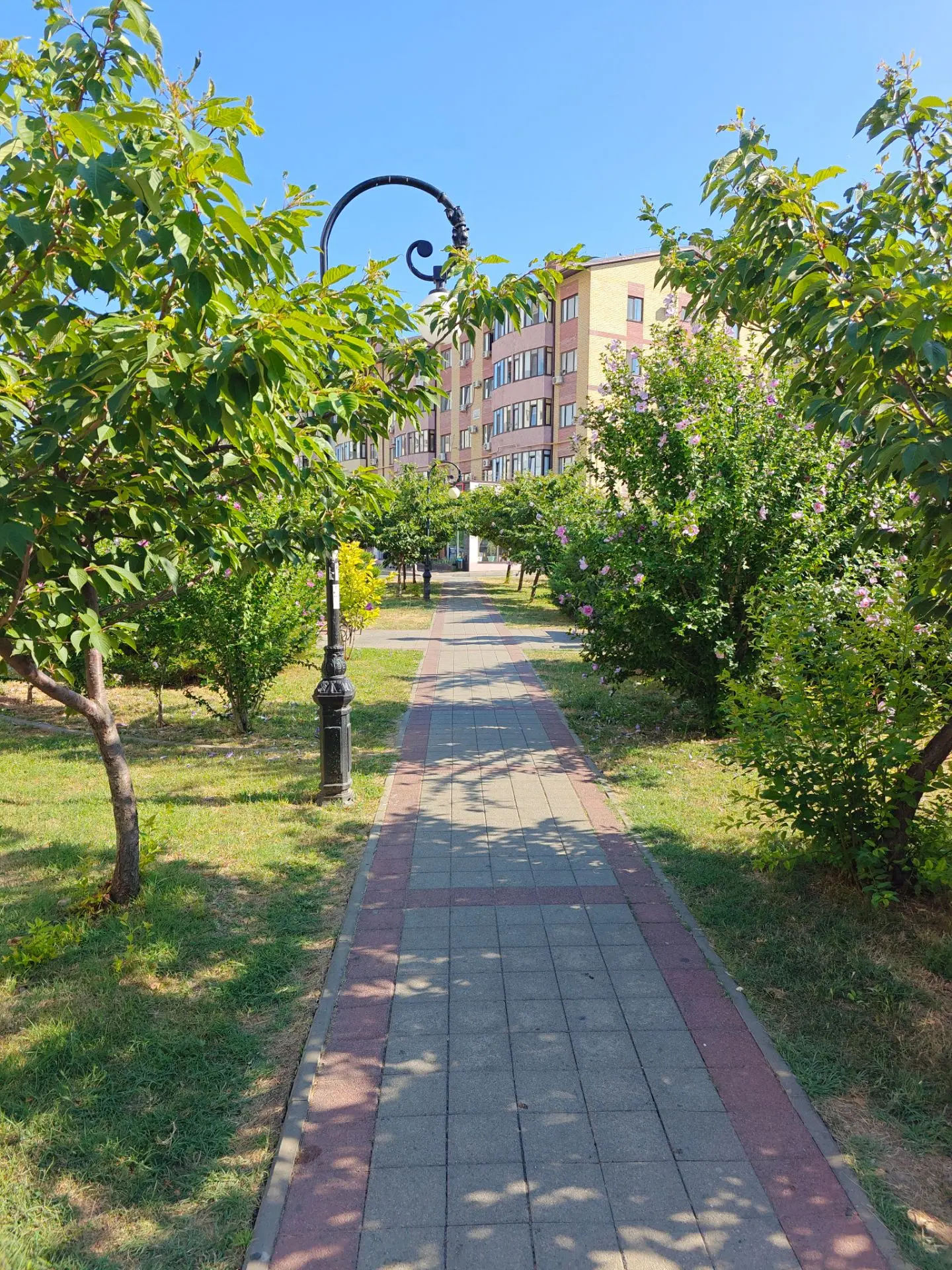 24 ИЮЛЯ 2026 ГОДА 🌔