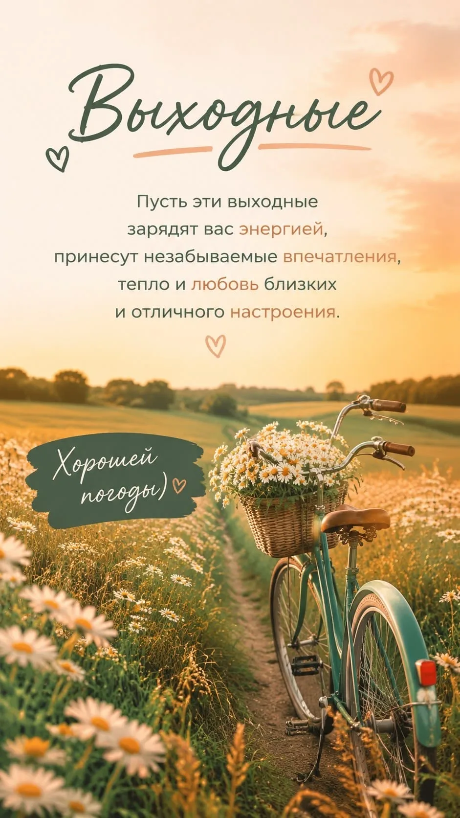 НОВЫЕ ОТКРЫТКИ 🎁