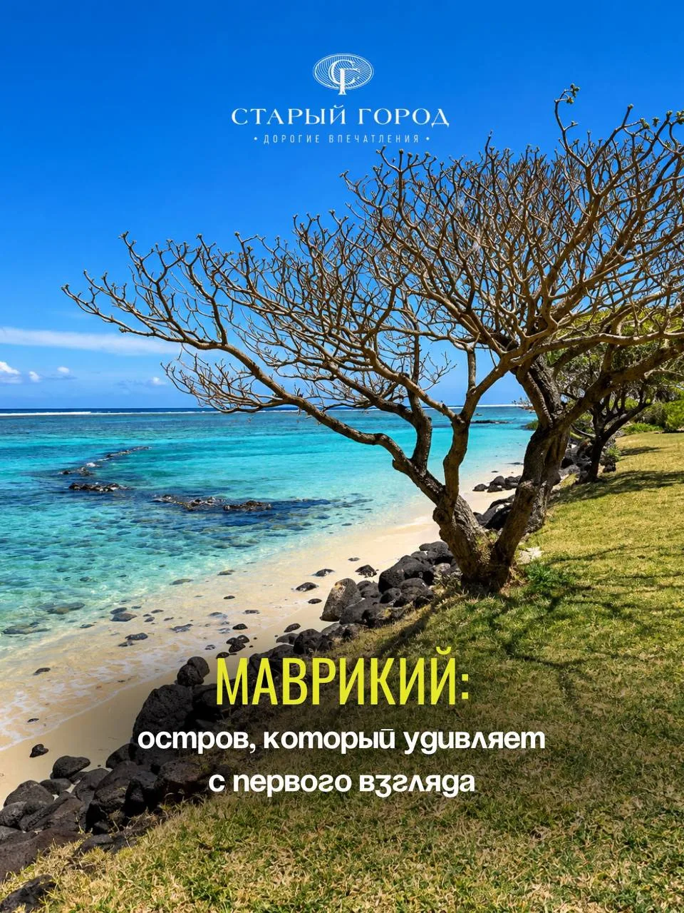 🌴 Маврикий — это не «ещё одни Мальдивы» и не «Сейшелы 2.0»